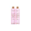 Brazilicious Honey Biotox Shampoo & Conditioner 2x250ml