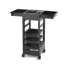 Original Best Buy E-Trolley Work Cart Black